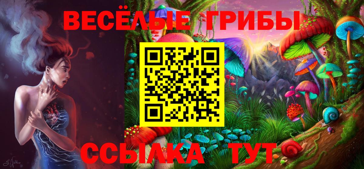Галлюциногенные грибы MAGIC MUSHROOMS Дагестанские Огни