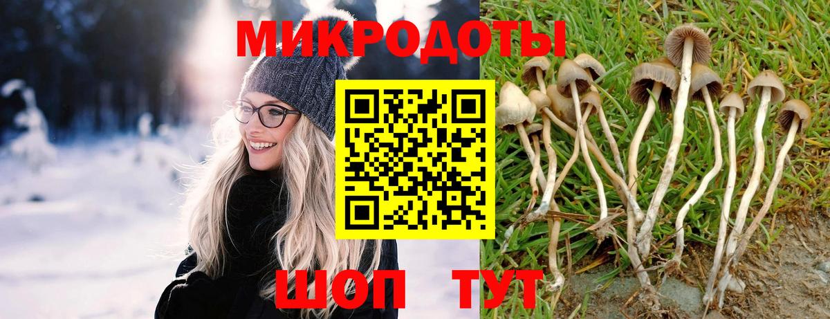 Галлюциногенные грибы мицелий  Вход с VPN  Дагестанские Огни 